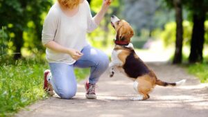 A woman gently petting a dog