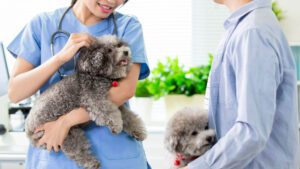 Two vets holding puppies